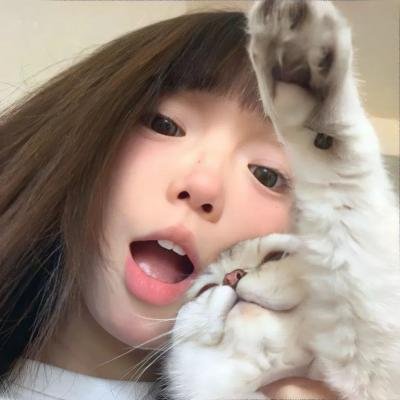 赝品